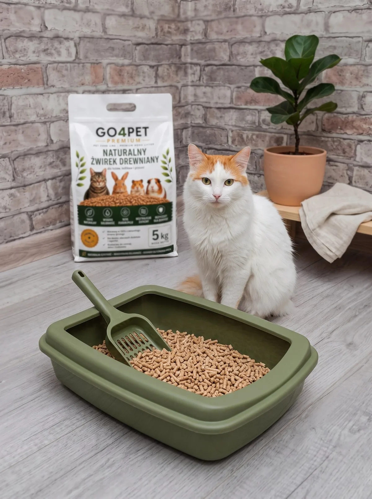 Kot obok kuwety z żwirkiem drewnianym GO4PET i opakowania 5 kg